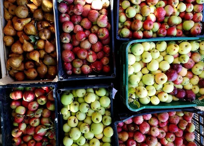 Dimora Storica Nel Cuore Della Toscana *
